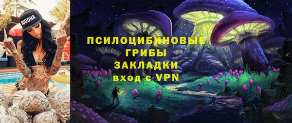 а пвп мука Абаза