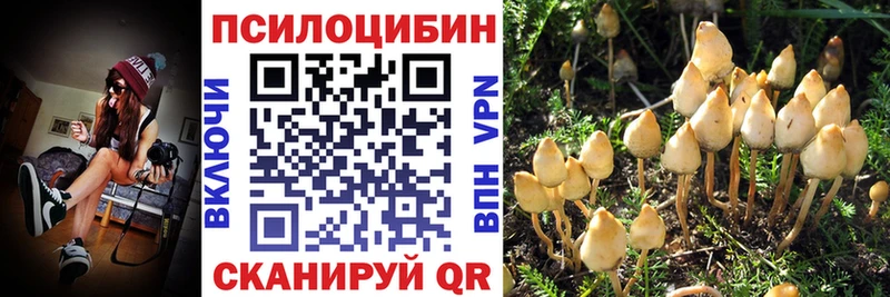Галлюциногенные грибы MAGIC MUSHROOMS  Кострома 