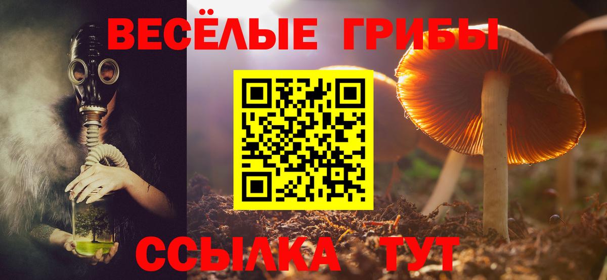 Псилоцибиновые грибы мухоморы Кострома