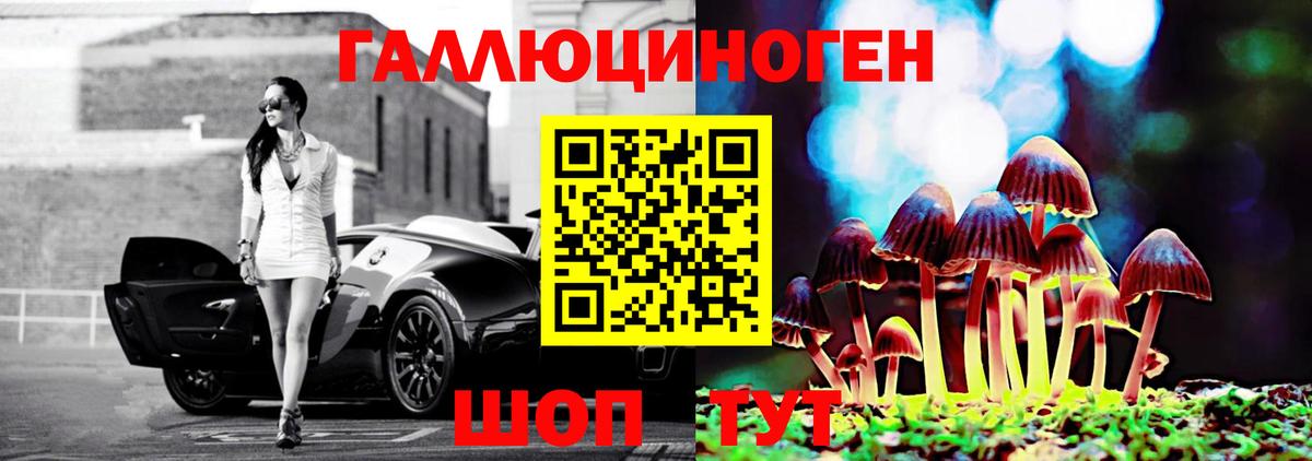 Кострома  Псилоцибиновые грибы Cubensis  Вход с VPN 